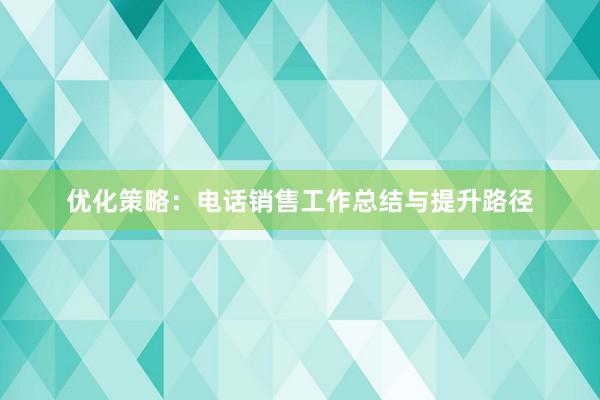 优化策略：电话销售工作总结与提升路径